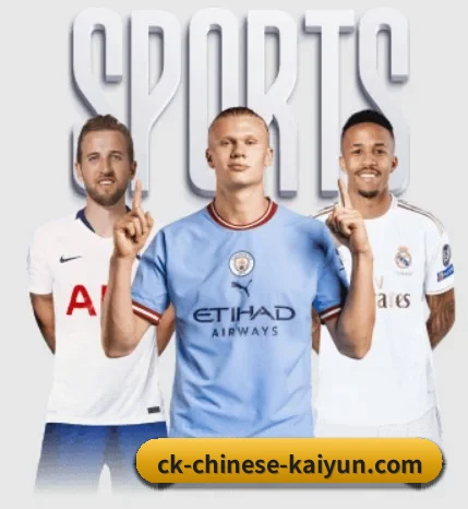 每个板块围绕一个运动项目展开（kaiyun）